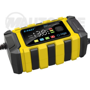 Cargador de Batería Automático