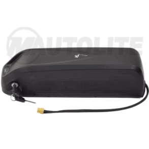 Batería E-BIKE 48V Recargable